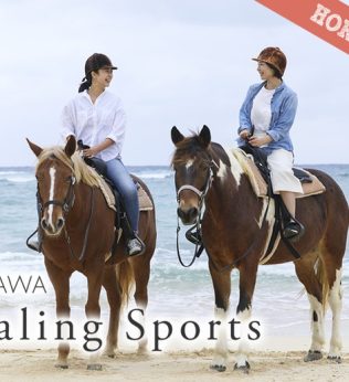 Interact with horses in the natural beauty of Okinawa
