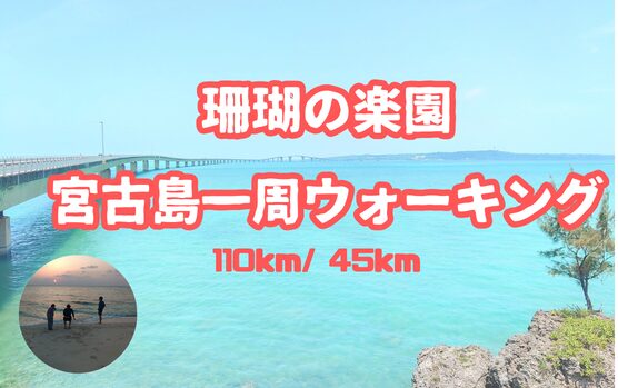 珊瑚の楽園_宮古島一周ウォーキング