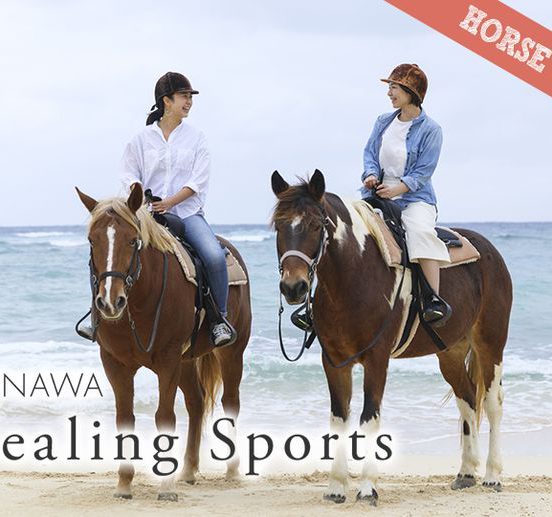 沖縄の大自然の中、馬との対話を楽しむひととき。