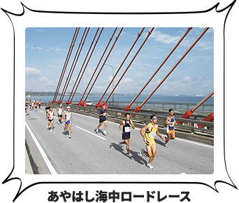 竹富島やまねこマラソン