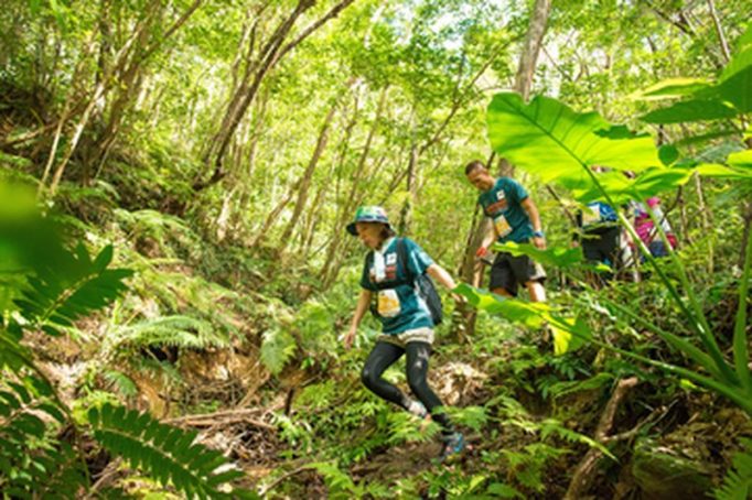 【開催延期】世界自然遺産登録記念 第1回やんばるトレイルin国頭村