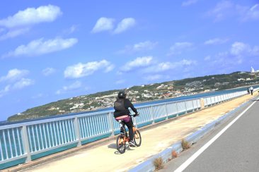 ちゅらうみ海道サイクリング (2024沖縄県サイクリング大会)